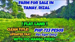 (Property#40) FARM for SALE in TANAY, RIZAL CLEAN TITLE! FLAT LAND!