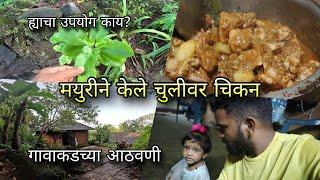 गावाकडची सकाळ. मयुरीने बनवले चुलीवरचे चिकन | Chulivarche Chicken, Village Cooking | Kokankar Avinash