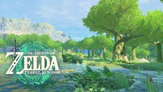  Hopper Pond｜Great Plateau｜Tears of the Kingdom｜ZELDA Ambience｜Relaxing Zelda BGM