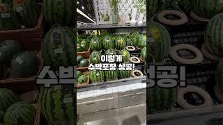 용기있게 수박 포장하기