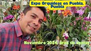 Expo orquídeas en Puebla, Puebla, noviembre 2024.