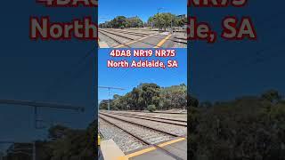 Last run of 4DA8 races through North Adelaide with NR19 (Ghan) + NR75 (Ghan) #shorts #seb #trains