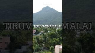 Mud Home Tour in Tiruvannamalai மண் வீடு #tamil #mudhouses #architecture #hometour #interior #civil