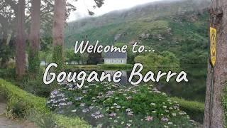 Welcome to Gougane Barra