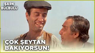 Şark Bülbülü Türk Filmi | "Bul Karayı Al Parayı"