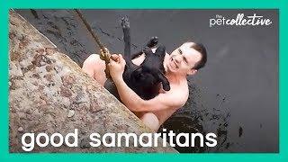 Good Samaritans To The Rescue! | The Pet Collective