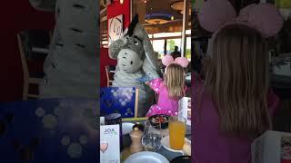 Disneyland Paris - Well Chuffed!