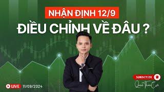 Chứng khoán hôm nay | Nhận định thị trường 12/09/2024: VNI giảm về đầu ?