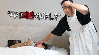 아픈 여자친구를 위한 특별식(?)을 만들어봤습니다!!