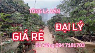 THIÊN ĐƯỜNG TÙNG LA HÁN SIÊU RẺ HÀ NỘI - CƠ NGƠI CỦA BÀ VỮNG QUÁ KHỦNG KHIẾP