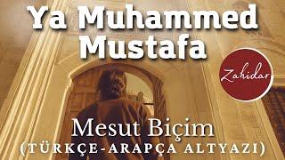 Ya Muhammed Mustafa (s.a.v) ᴴᴰ - Mesut Biçim | Muhteşem İlahi Zahidar