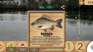 Реальная рыбалка/Как ловить Ерш на карасёвом пруду/Frezz Artem