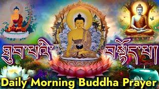 ️Daily Morming Buddha Prayer(ཐུབ་པའི་བསྟོད་པ)Tibetan Prayer-Monks Chanting(Twelve Praises of Buddha