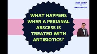 WHAT HAPPENS WHEN A PERIANAL ABSCESS IS TREATED WITH ANTIBIOTICS?