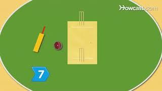 Physical Education -Cricket Basics