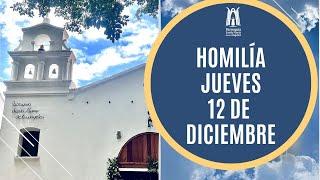 Homilía Jueves 12  de Diciembre 2024 - Parroquia Santa María de los Ángeles