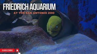 Friedrich Aquarium at the San Antonio Zoo