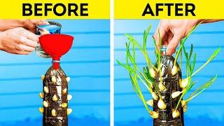 Growing Fresh Food at Home  Brilliant Gardening Hacks