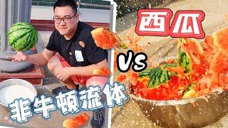 把一个西瓜从三楼扔下，砸中非牛顿流体的一瞬间，会发生什么？【熊猫君来啦】