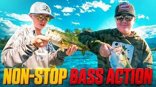 Largemouth Bass Fishing at Chickamauga Lake: Day 2 Action & Trophy Catches