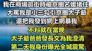 我在商場逛街時被京圈名媛堵住！大罵我是小三勾引京圈太子爺！還把我發到網上網暴我！不料就在當晚!太子爺爸爸發長文為我澄清！第二天我身份曝光全城震驚#狸貓說故事 #橘子喜歡的小小說 #你的愛好暖 #遊戲