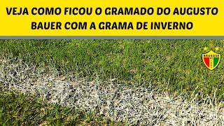 Veja como ficou o novo gramado do Augusto Bauer com a grama de inverno/ #Brusque #Gramado #Futebol