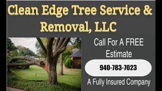 24 HR EMERGENCY TREE REMOVAL - DENTON COUNTY - Clean Edge Tree Service & Removal - 940-783-7023