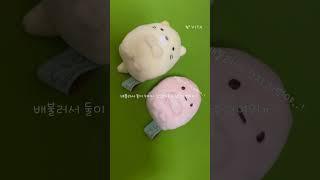 서비스 짧은영상#인형계 ##헿휘핑님음원