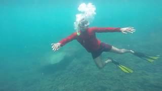Snorkeling In Pigeon Island