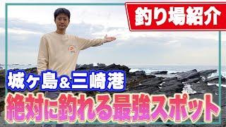 【城ヶ島】磯でメジナやアオリイカ 青物が釣れる！三崎港や通り矢堤防など家族向け釣り場も紹介