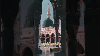 Kamli Waly Muhammad (S.A W)#urdulyrics #shorts #trend #naat #naatlyrics #muhammad #viralshorts