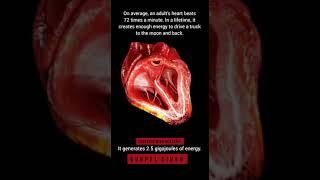 Heart beats 72 Times a minute.... Learn Science and Mathematics by Educator Gurpal Singh