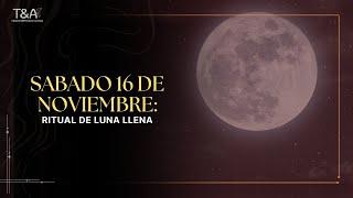 Ceremonia con la luna llena Exclusiva VIP Sábado 16 de noviembre