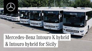 Daimler Buses Italia delivers 11 Mercedes-Benz Intouro K hybrid and 7 Intouro hybrid to Sicily