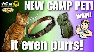 WILD CAT BUNDLE! JOVIAL atom shop update review | Fallout 76