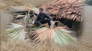 32 days of building a house for a single mother, during typhoon yagi. lý tử hân