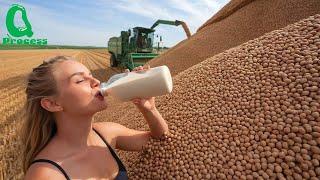 165 Tons of SOYBEANS Produced by Brazilian Farmers - Brazilian Farming