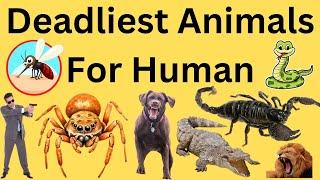 Top 10 Deadliest Animals to Humans in the World | Dangerous Animals |