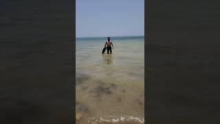 #@#mini Goa@#@