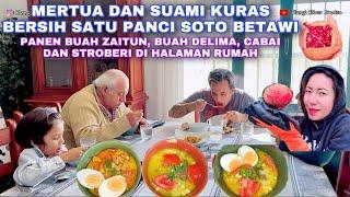 MASAK SOTO BETAWI, MERTUA DAN SUAMI KURAS BERSIH SATU PANCI. PANEN ZAITUN, BUAH DELIMA DAN CABAI