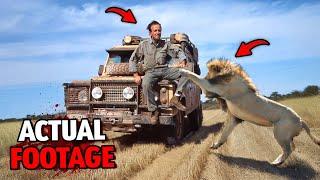 5 Most DISTURBING Animal Attacks at National Parks...