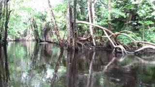 Avion Channel, Orinoco Delta, Venezuela