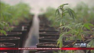 Pa. State Senators introduce Medical Marijuana Home Cultivation Bill