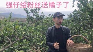 想吃橘子的快来报道，到我这里管饱哦！漫山遍野随便吃