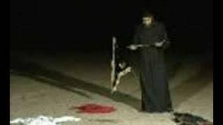 طاهر الشمالي