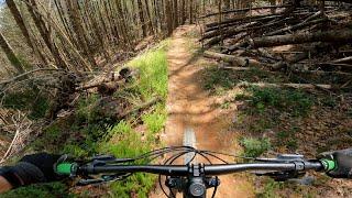 "Bearhoti" is the Best Downhill in Georgia | Ellijay, Georgia