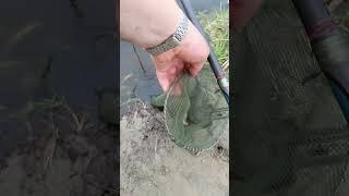 #fishing #рыболовная #рыбалка #рыбалкавидео #fish #озеро