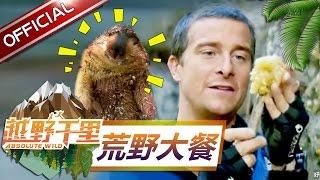 Absolute Wild Highlight :Ten “delicious” food made by Bear Grylls In Absolute Wild【SMG Official HD】