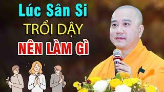 Lúc sân si trỗi dậy ta nên làm gì"Rất Hay"Thầy Thích Pháp Hòa