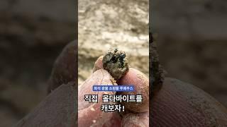 체코에서 직접 몰다바이트를 캐보자! #루페우스 #moldavite #운석